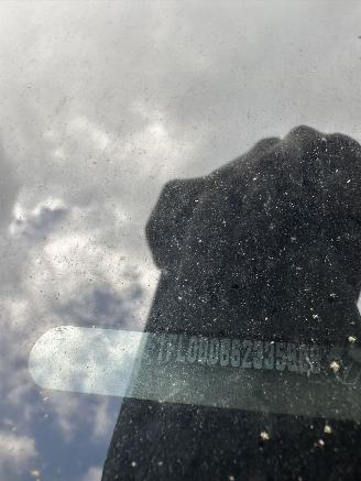 Renault Trafic Renault Trafic 1.6 dCi T29 L2H1 Work Edition Energy picture 15