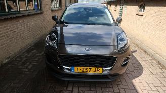 Ford Puma Ford Puma 1.0 EcoBoost Connected picture 2