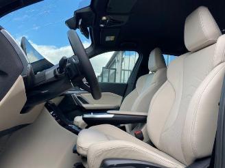 BMW X1 xDrive30e M Sport HUD/AHK/360/NAVI picture 19