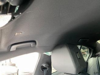 BMW 5-serie d M Sport HUD/H&K picture 20