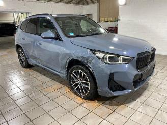 BMW iX1 xDrive30 M Sport HUD/KAM/PANO picture 9