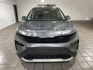 Skoda Elroq 50 Tour Studio KAM/NAVI picture 6