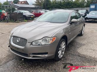 krockskadad bil auto Jaguar XF XF (CC9), Sedan, 2008 / 2015 3.0 S D V6 24V 2010/3
