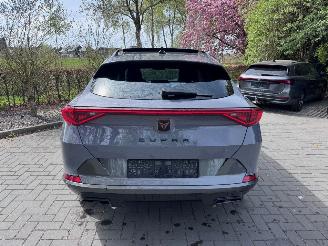 Cupra Formentor Formentor 1.5TSI Panorama Camera Leder Ambiance picture 7