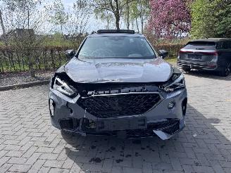 Cupra Formentor Formentor 1.5TSI Panorama Camera Leder Ambiance picture 23