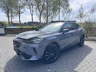 Cupra Formentor Formentor 1.5TSI Panorama Camera Leder Ambiance picture 18