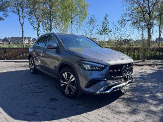 Mercedes GLA GLA 250 GLA GLA 250 e ACC Camera Ambiance VOL picture 15