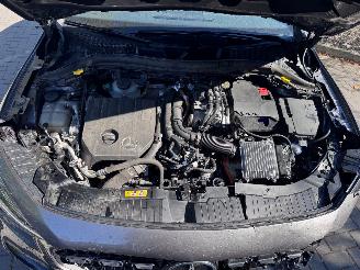 Mercedes GLA GLA 250 GLA GLA 250 e ACC Camera Ambiance VOL picture 20