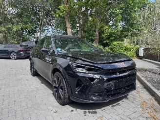 Cupra Formentor Formentor 1.5 eTSI VZ Panorama Leder Memorie Trekhaak Ambiance VOL! picture 13