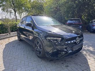 Mercedes GLA Mercedes-Benz GLA 200 AMG PANORAMA Leder Ambiance Camera VOL picture 9