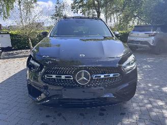 Mercedes GLA Mercedes-Benz GLA 200 AMG PANORAMA Leder Ambiance Camera VOL picture 19