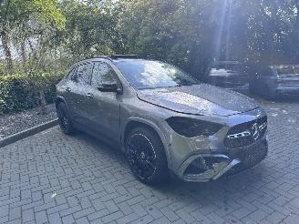 Mercedes GLA Mercedes-Benz GLA 250e AMG PANO Trekhaak Camera Ambiance HUD VOL!! picture 25