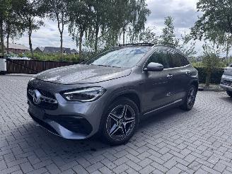 Mercedes GLA GLA 250 e AMG Panorama Ambiance Camera ACC VOL picture 9