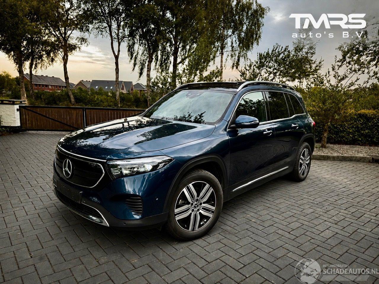 Mercedes EQB EQB 250+ AMG 7 Persoons PANORAMA Ambiance Camera !