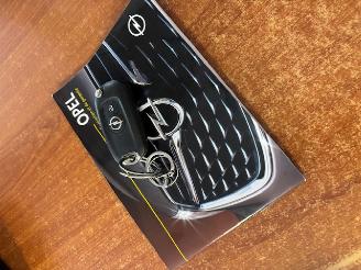 Opel Insignia  picture 13