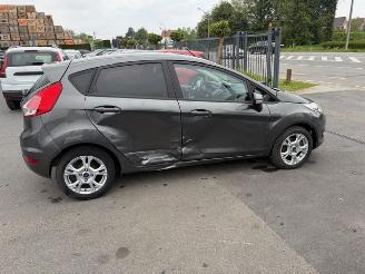 Ford Fiesta  picture 2