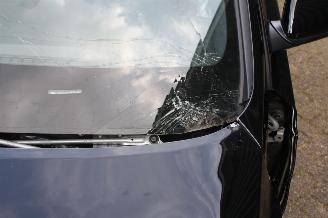 Hyundai I-30 N fastback picture 15