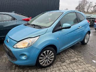 Ford Ka 1.2 Hatchback  Benzine 1.242cc 51kW (69pk) FWD 2008-10/2016-05 (RU8) 169A4000; EURO4 picture 6