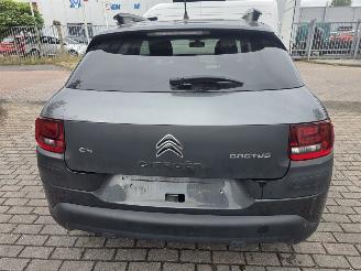 Citroën C4 cactus 1.2 PureTech 82 12V Hatchback 4Dr Benzine picture 13