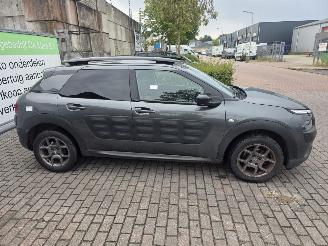 Citroën C4 cactus 1.2 PureTech 82 12V Hatchback 4Dr Benzine picture 10