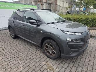 Citroën C4 cactus 1.2 PureTech 82 12V Hatchback 4Dr Benzine picture 8