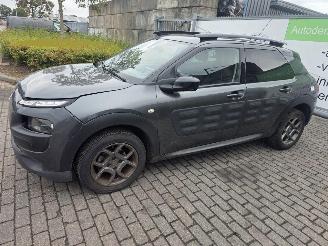 Citroën C4 cactus 1.2 PureTech 82 12V Hatchback 4Dr Benzine picture 4