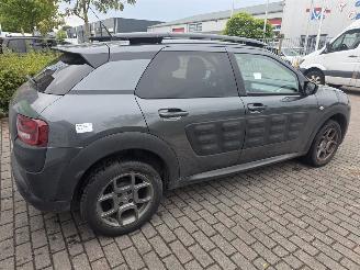 Citroën C4 cactus 1.2 PureTech 82 12V Hatchback 4Dr Benzine picture 12