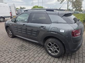 Citroën C4 cactus 1.2 PureTech 82 12V Hatchback 4Dr Benzine picture 7