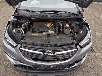 Opel Grandland X picture 12