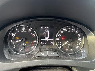 Skoda Rapid Skoda Rapid 1.2 TSI Greentech Businessline picture 14