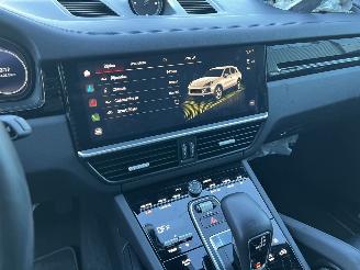 Porsche Cayenne 3.0 E-Hybrid Platinum Edition picture 16