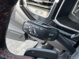 Volkswagen Polo 2.0 TSI GTI picture 28