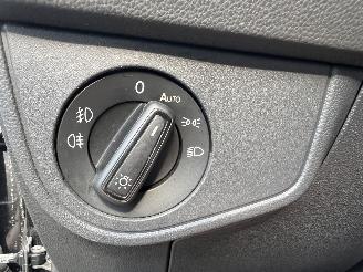 Volkswagen Polo 2.0 TSI GTI picture 29