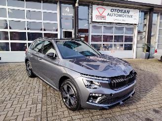 Avarii autoturisme Skoda Kamiq Monte Carlo DSG Pano Matrix Camera Vol 2024/11