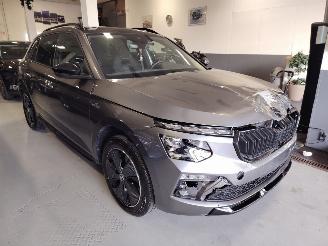 Skoda Kamiq Monte Carlo DSG Pano Matrix Camera Vol picture 22