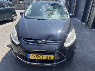 Ford Grand C-Max 1.0 titanium picture 14