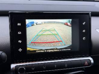 Citroën C4 cactus 1.6 BlueHDi Business picture 12