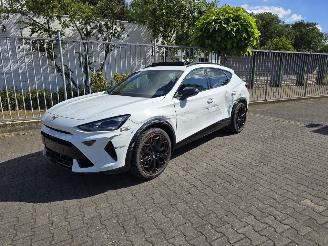 Cupra Formentor VZ 245 kW PANORAMA picture 5
