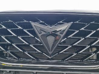 Cupra Formentor VZ 180 kW Hybride picture 18