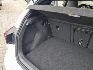 Volkswagen Golf GTi Panorama IQ LED picture 35