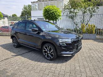skadebil auto Skoda Karoq  2024/2