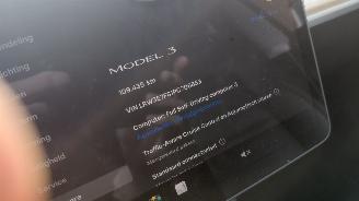 Tesla Model 3 rwd   60kw pano navi clima   238pk picture 10
