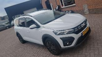 Damaged car Dacia Jogger 1.0 tce  110pk navi 7 zitter 2024/8