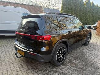 Mercedes EQB 250 AMG LINE 67 KWH  PANO VOL OPTIES picture 4