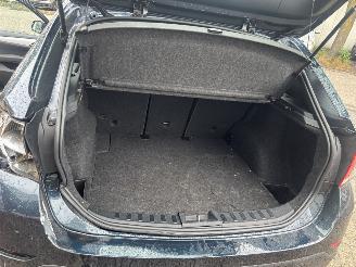 BMW X1 SDRIVE20I UPGRADE ED picture 11