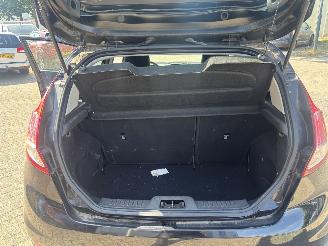 Ford Fiesta  picture 11