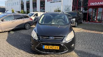 škoda osobní automobily Ford Grand C-Max 1.0 TITANIUM HAGELSCHADE 2013/6