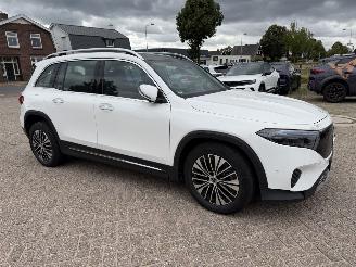 škoda osobní automobily Mercedes EQB 250+ Elektro 140 Kw 2026/3