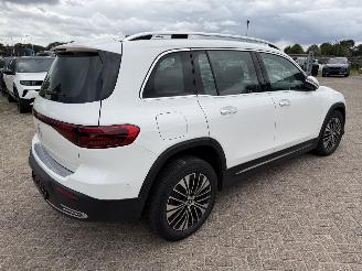 Mercedes EQB 250+ Elektro 140 Kw picture 16