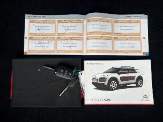 Citroën C4 cactus 1.6 e-HDi Feel AUTOMATIC picture 23